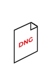 dng repair