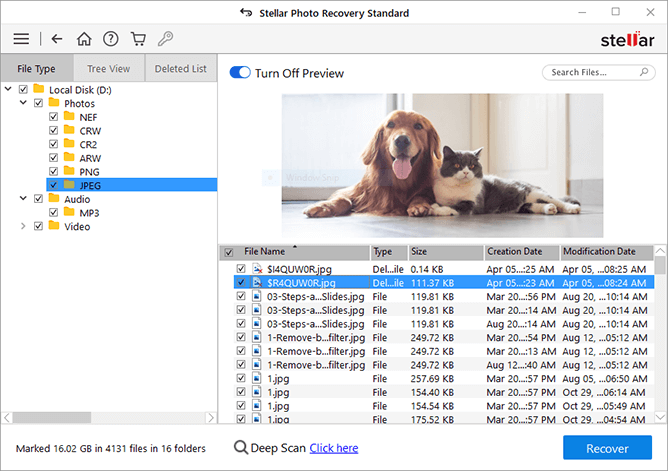 https://www.stellarinfo.com/public/image/catalog/screenshot/photo-recovery-win/photo-standard-screen2.png