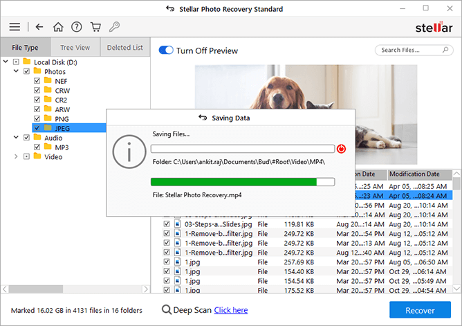 https://www.stellarinfo.com/public/image/catalog/screenshot/photo-recovery-win/photo-standard-screen3.png